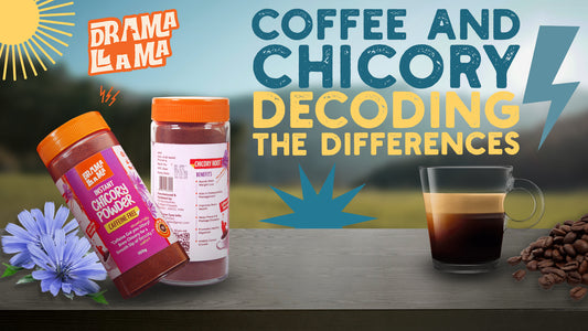 Chicory and Coffee - Decoding the Differences