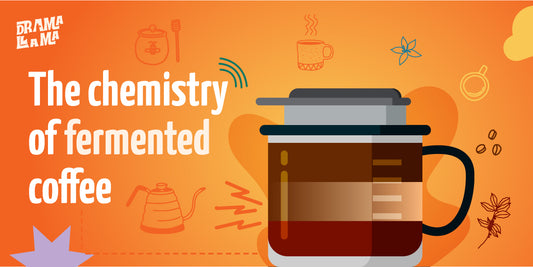 The chemistry of fermented coffee